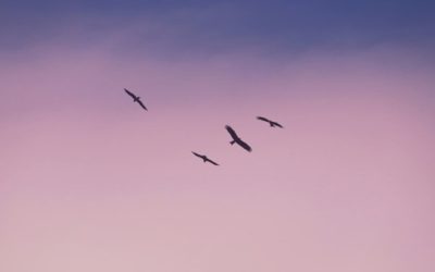 Notre indicateur d’impact : l’autonomisation des premiers concernés