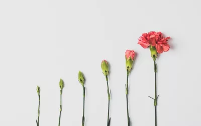 Comment mesurer l’impact de votre stratégie digitale sur votre mission sociale