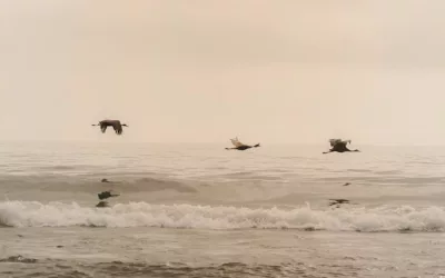 Faire grandir Airtable sans (trop) transpirer : 5 principes pour passer du tableur au système d&rsquo;information